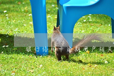 银行信用卡逾期用户相关数据