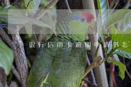银行信用卡逾期申请书怎么写