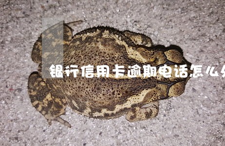 银行信用卡逾期电话怎么处理 银行信用卡逾期电话怎么处理