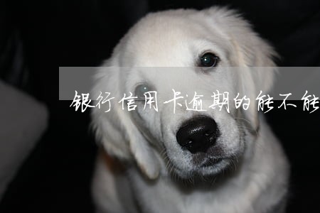 银行信用卡逾期的能不能进业委会