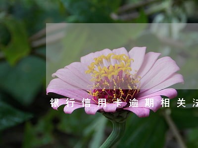 银行信用卡逾期相关法律