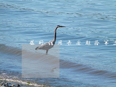 银行信用卡逾期给第三方催收 银行信用卡逾期给第三方催收