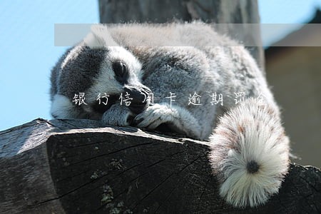 银行信用卡逾期罚金 银行信用卡逾期罚金
