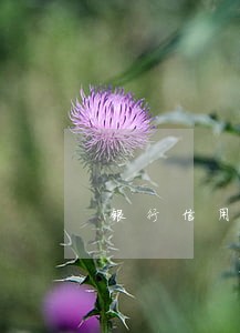 银行信用卡逾期能免息吗 银行信用卡逾期能免息吗