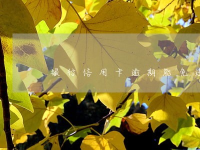 银行信用卡逾期能免违约金吗 银行信用卡逾期能免违约金吗