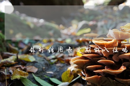 银行信用卡逾期能入伍吗 银行信用卡逾期能入伍吗