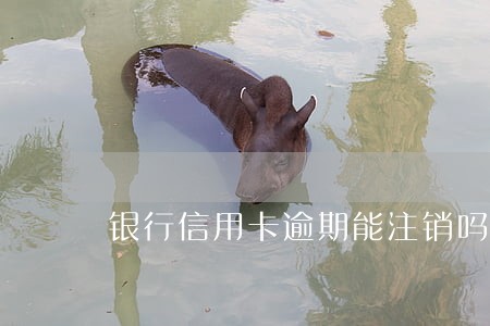 银行信用卡逾期能注销吗 银行信用卡逾期能注销吗