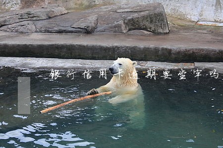 银行信用卡逾期要坐牢吗 银行信用卡逾期要坐牢吗