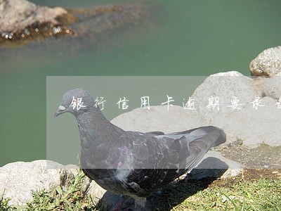 银行信用卡逾期要录音 银行信用卡逾期要录音