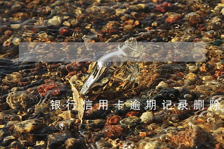 银行信用卡逾期记录删除 银行信用卡逾期记录删除