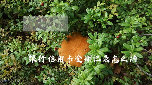 银行信用卡逾期记录怎么消 银行信用卡逾期记录怎么消