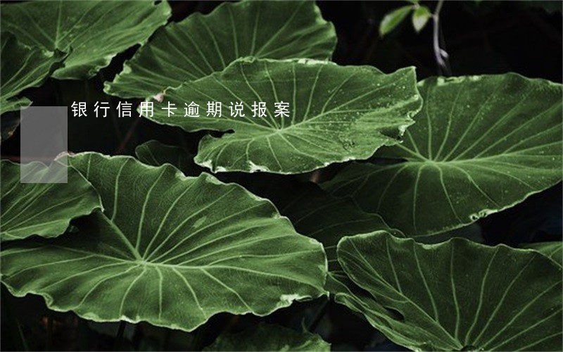 银行信用卡逾期说报案
