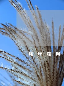 银行信用卡逾期账龄段 银行信用卡逾期账龄段