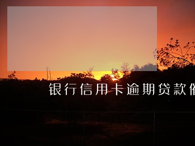 银行信用卡逾期贷款催收业绩 银行信用卡逾期贷款催收业绩