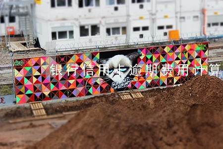 银行信用卡逾期费用计算 银行信用卡逾期费用计算