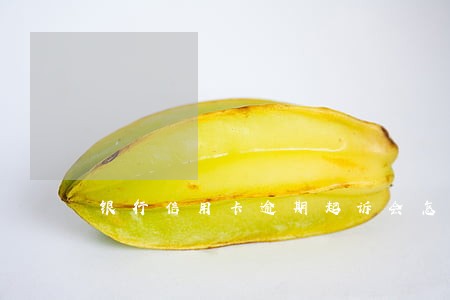 银行信用卡逾期起诉会怎样 银行信用卡逾期起诉会怎样