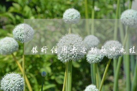 银行信用卡逾期起诉流程 银行信用卡逾期起诉流程