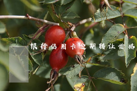 银行信用卡逾期转让价格