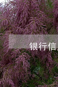 银行信用卡逾期过年还催收吗 银行信用卡逾期过年还催收吗