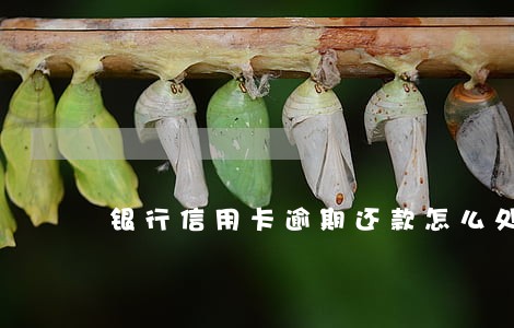 银行信用卡逾期还款怎么处理