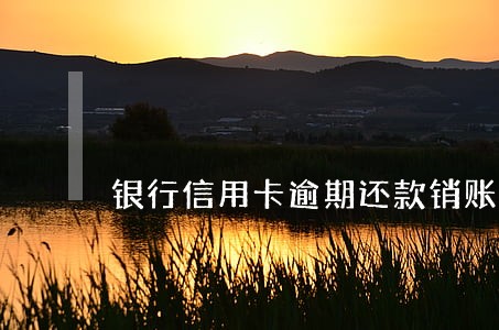 银行信用卡逾期还款销账 银行信用卡逾期还款销账