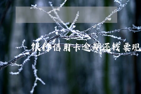 银行信用卡逾期还钱要现金吗 银行信用卡逾期还钱要现金吗