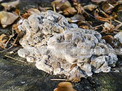 银行信用卡逾期进法务部
