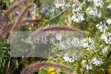 银行信用卡逾期违约 银行信用卡逾期违约