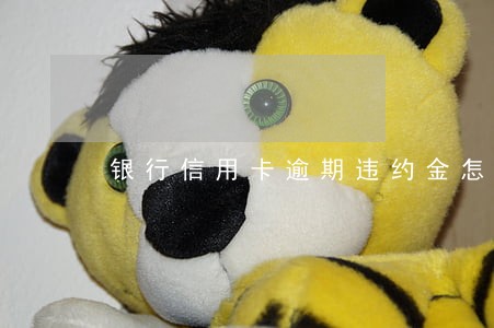 银行信用卡逾期违约金怎么收