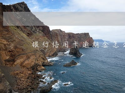 银行信用卡逾期金怎么算的 银行信用卡逾期金怎么算的