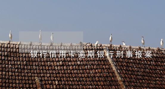 银行信用卡逾期银行刑事报案 银行信用卡逾期银行刑事报案
