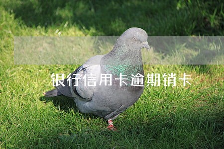 银行信用卡逾期销卡 银行信用卡逾期销卡