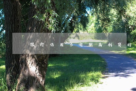 银行信用卡逾期高利贷的危害 银行信用卡逾期高利贷的危害