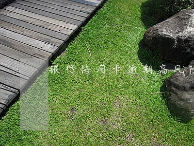 银行信用卡逾期高风险 银行信用卡逾期高风险