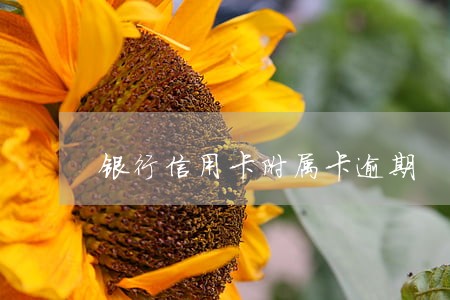 银行信用卡附属卡逾期
