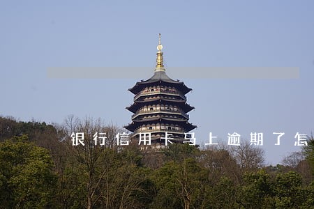 银行信用卡马上逾期了怎么办 银行信用卡马上逾期了怎么办