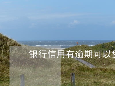 银行信用有逾期可以贷款吗 银行信用有逾期可以贷款吗