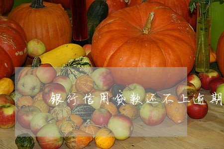 银行信用贷款还不上逾期 银行信用贷款还不上逾期
