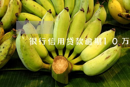 银行信用贷款逾期10万 银行信用贷款逾期10万