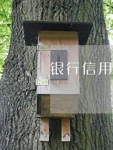 银行信用贷款逾期90天 银行信用贷款逾期90天