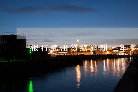 银行信用贷款逾期一年多 银行信用贷款逾期一年多
