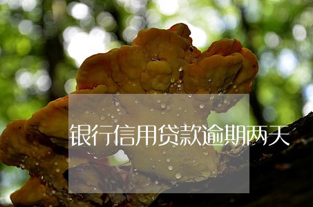 银行信用贷款逾期两天 银行信用贷款逾期两天