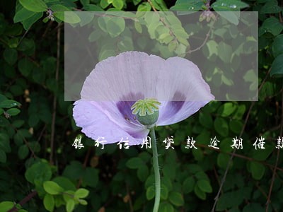 银行信用贷款逾期催款流程 银行信用贷款逾期催款流程
