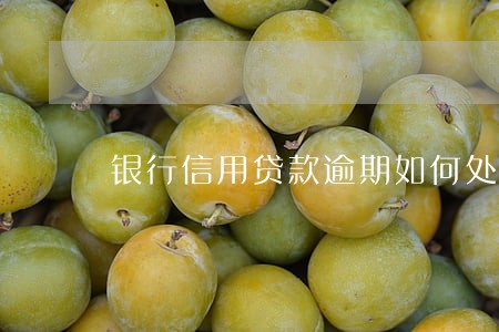 银行信用贷款逾期如何处理 银行信用贷款逾期如何处理