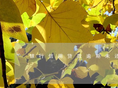 银行信用贷款逾期未还会如何 银行信用贷款逾期未还会如何