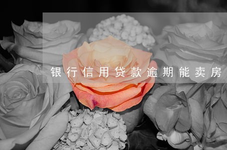 银行信用贷款逾期能卖房吗 银行信用贷款逾期能卖房吗
