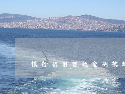 银行信用贷款逾期被起诉