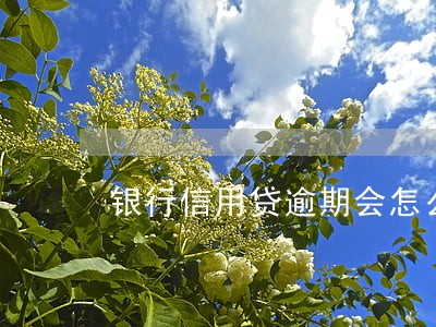 银行信用贷逾期会怎么样 银行信用贷逾期会怎么样