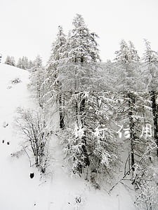 银行信用逾期卡冻结怎么解冻 银行信用逾期卡冻结怎么解冻