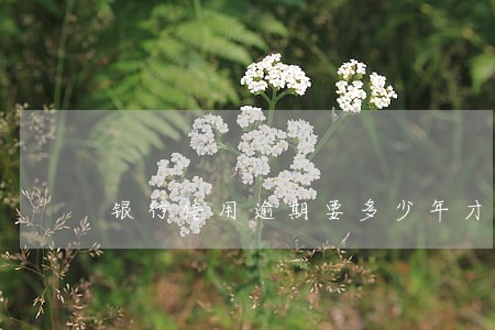 银行信用逾期要多少年才能洗白 银行信用逾期要多少年才能洗白